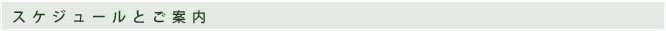 スケジュールとご案内